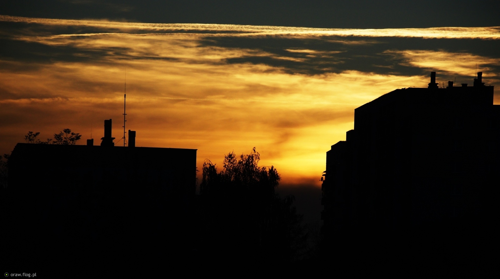 Tej ciszy….