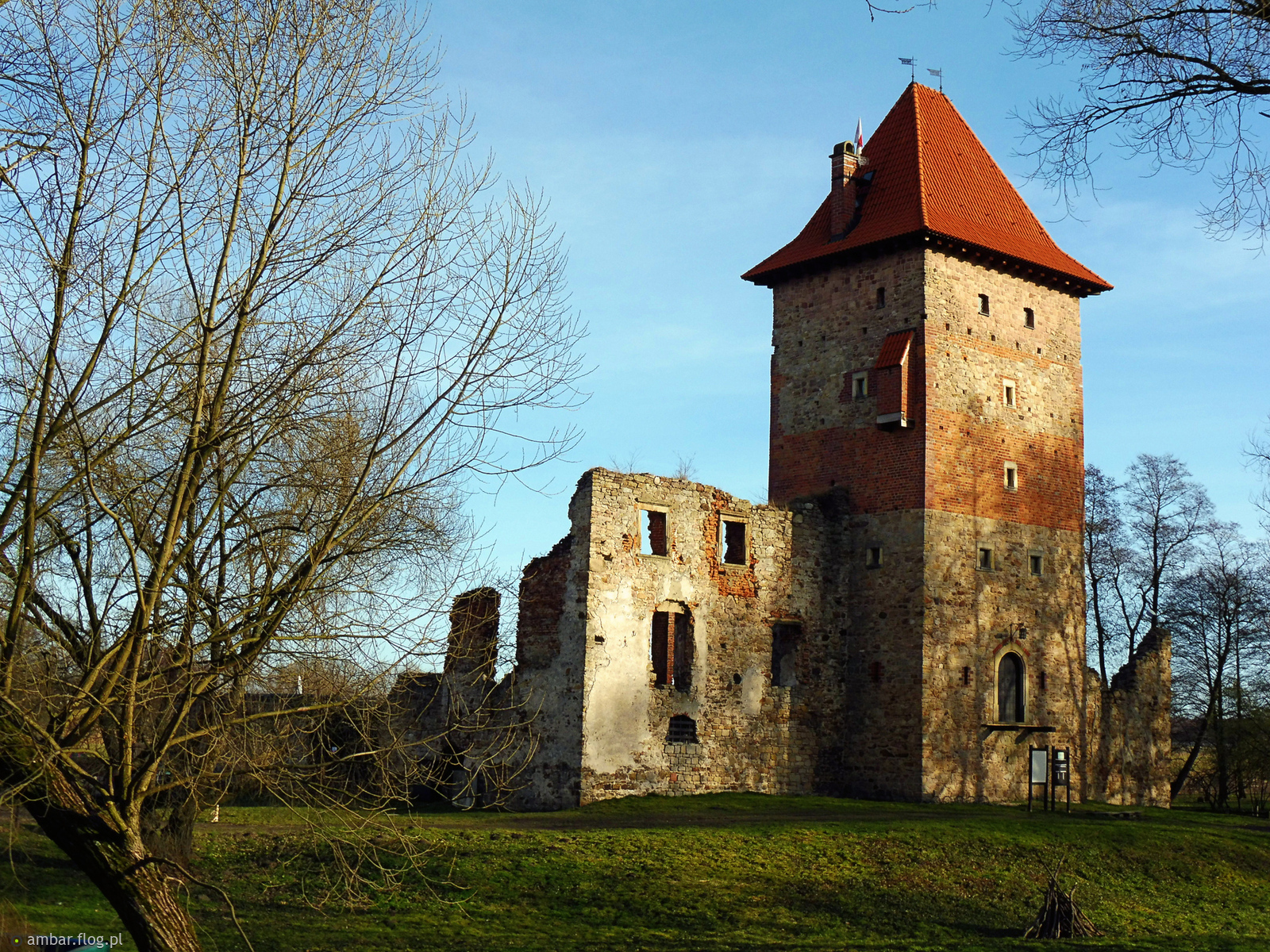 Styczniowe obrazki