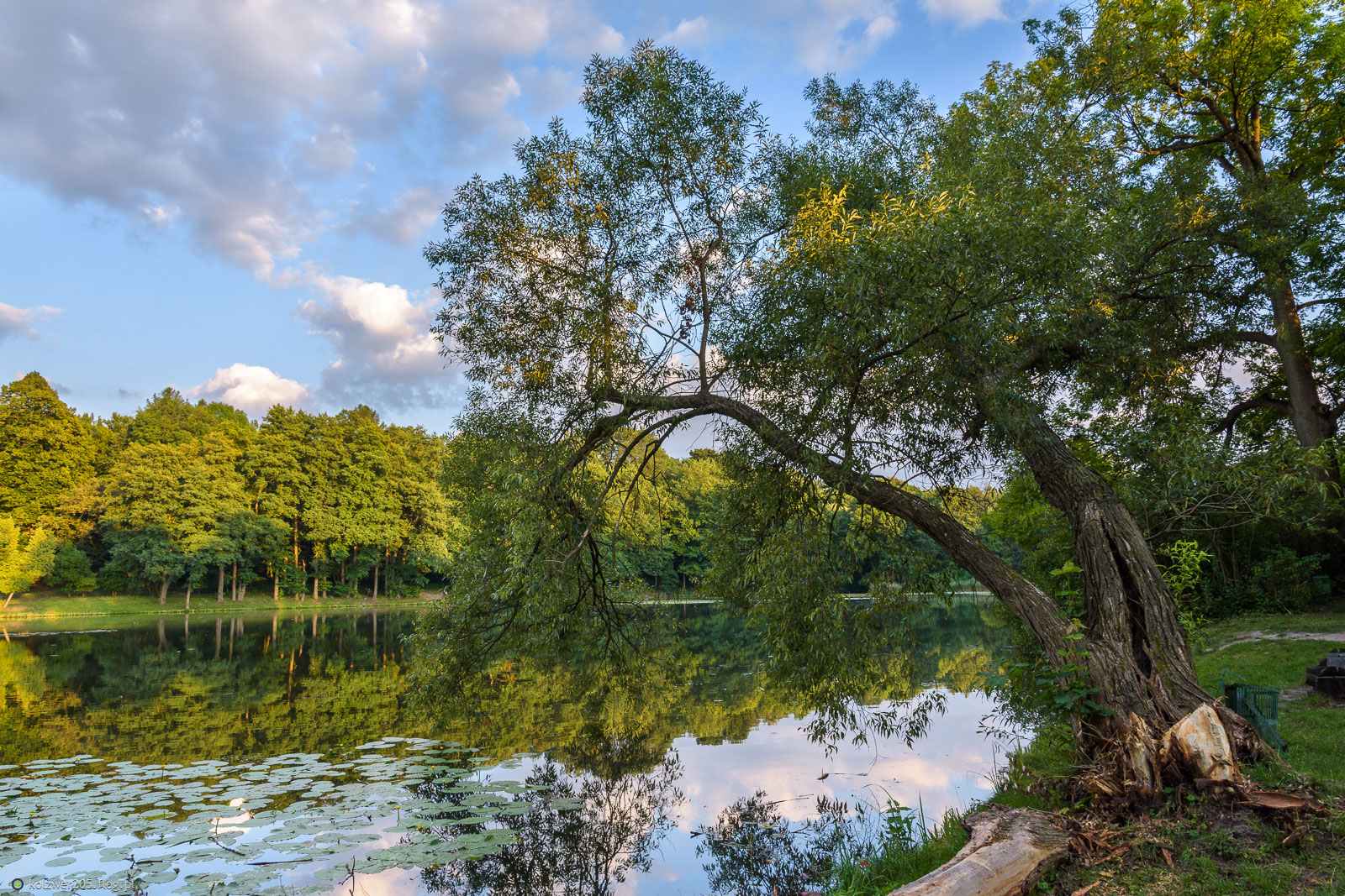 Złoty Potok (Janów) - staw "Irydion"