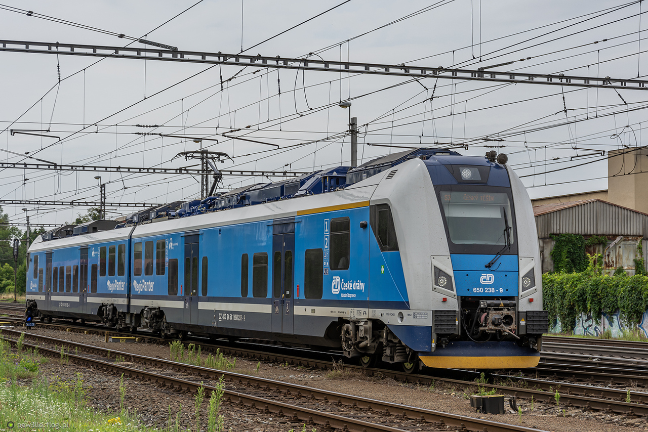 650 238-9