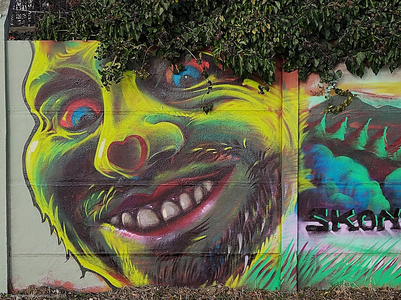 Murale za Zoo we Wrocławiu:) Spokojnego tygodnia Kochani:)