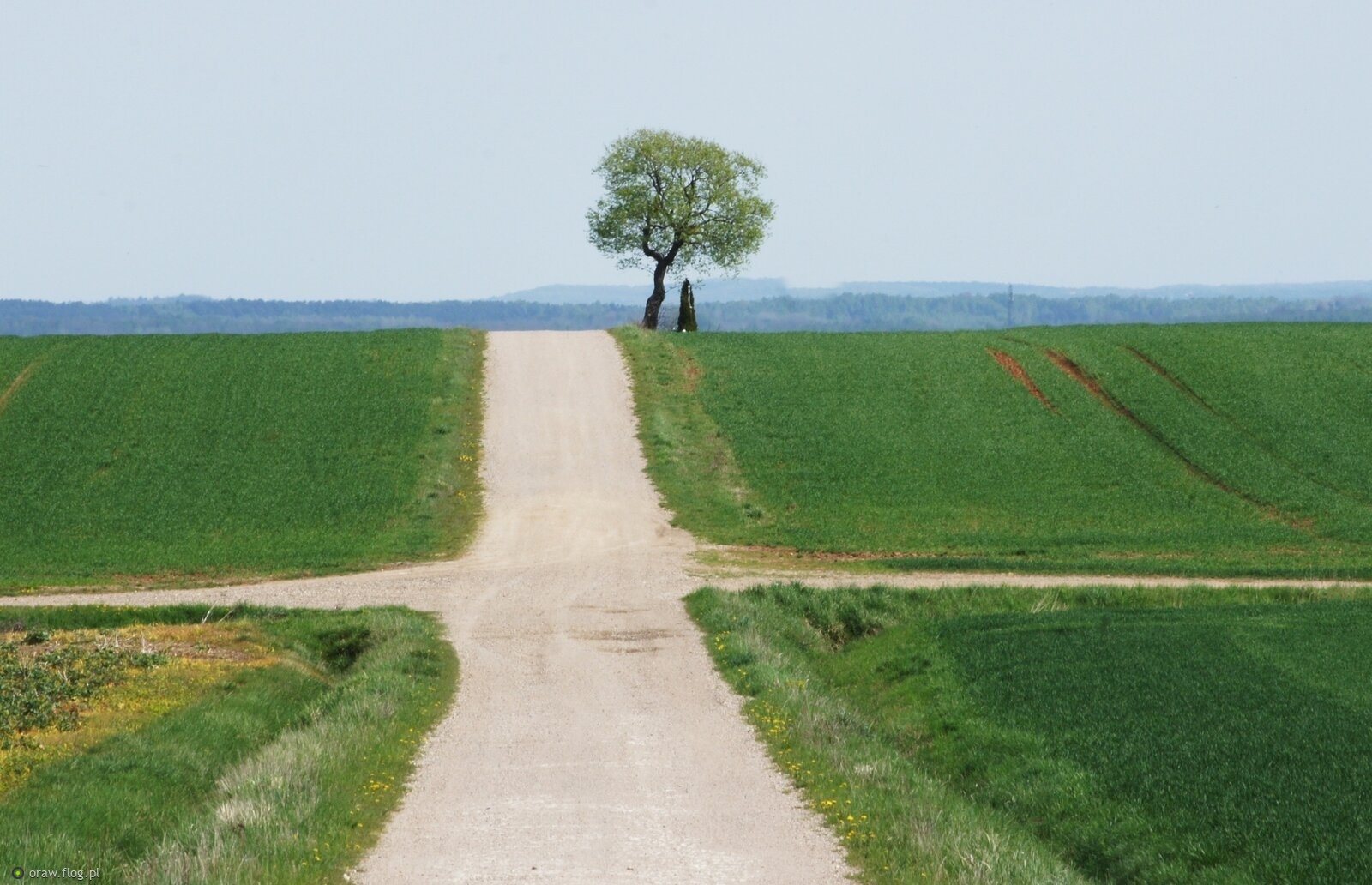 Wiosenne ścieżki...