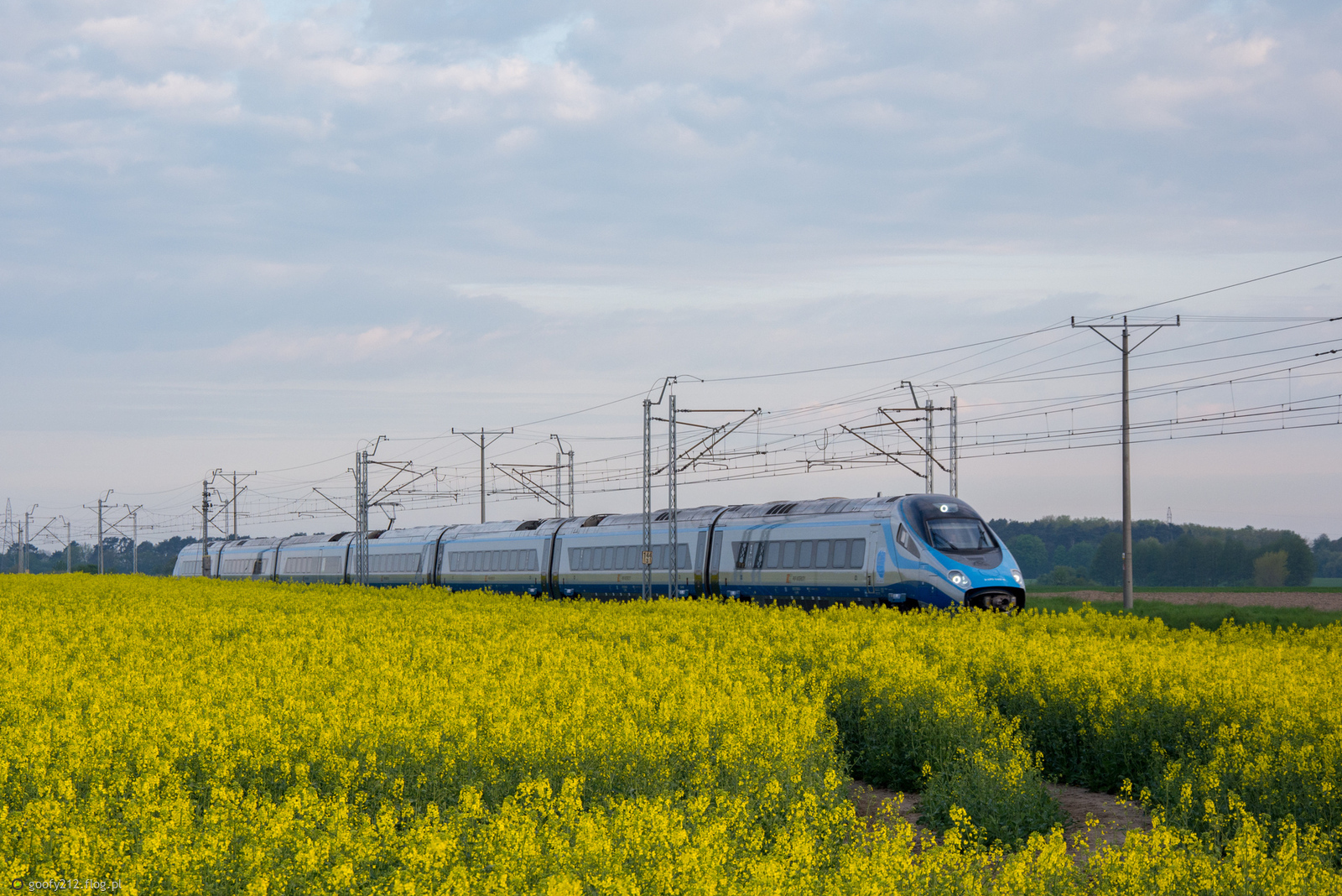 ED250-006