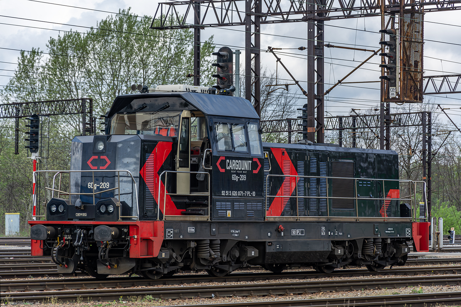 6Dg-209