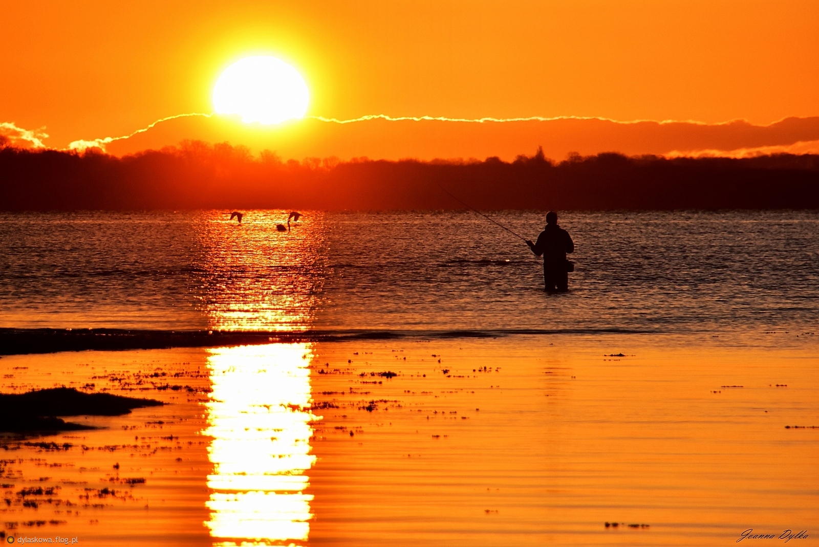 Wschodzik z wędkarzem