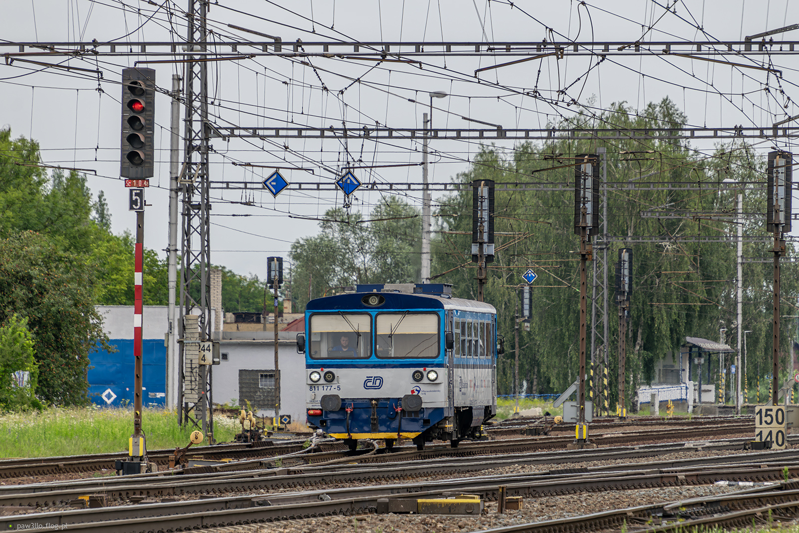 811 177-5