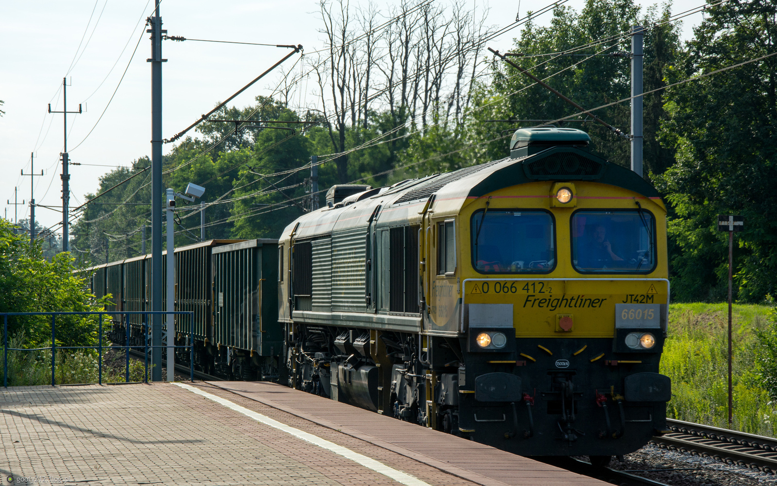 66015
