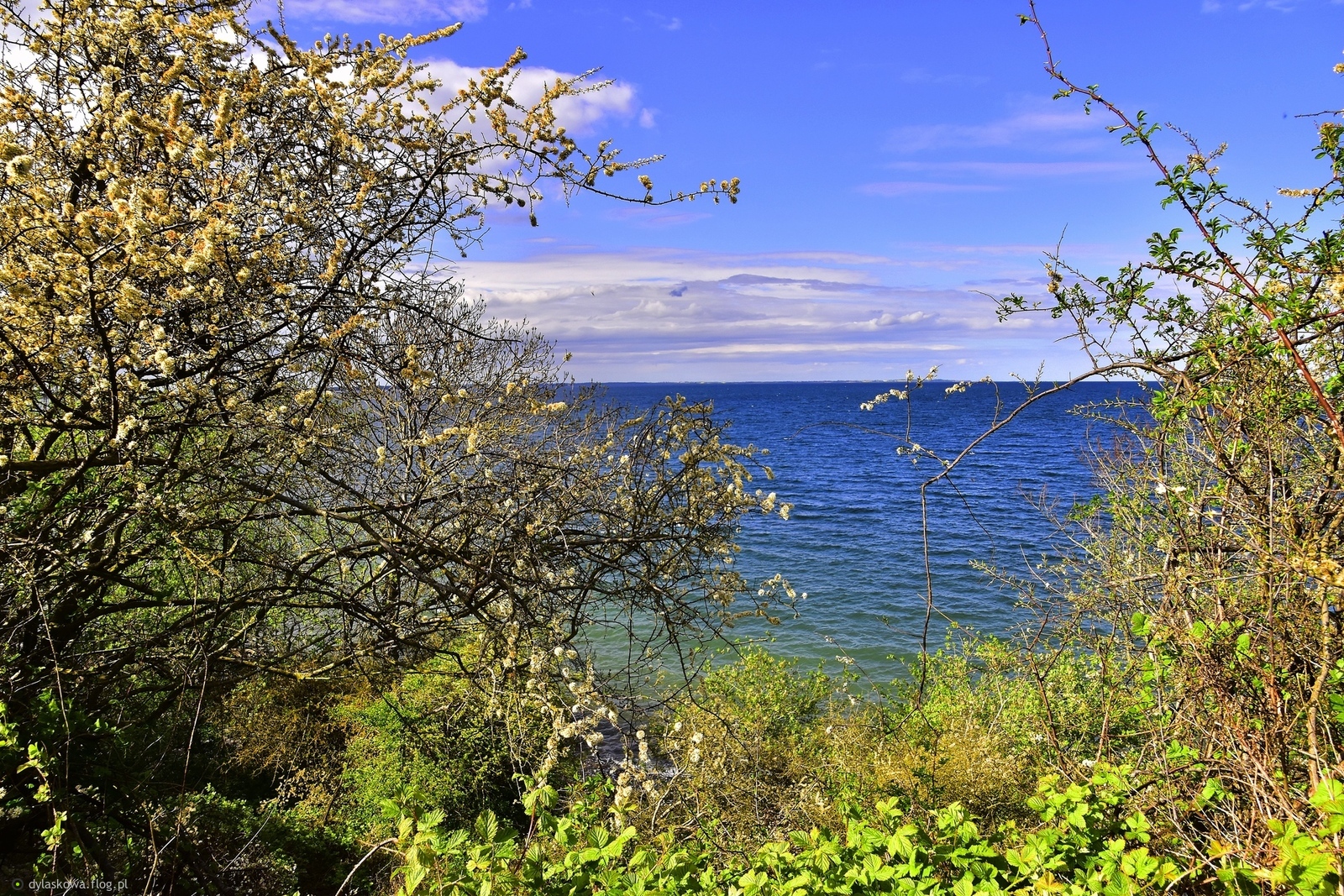 Wiosna nad zatoką