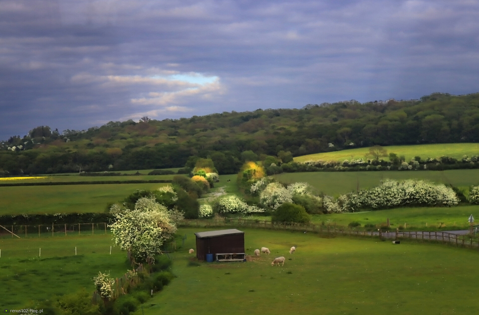 Walijska wiosna......................:)