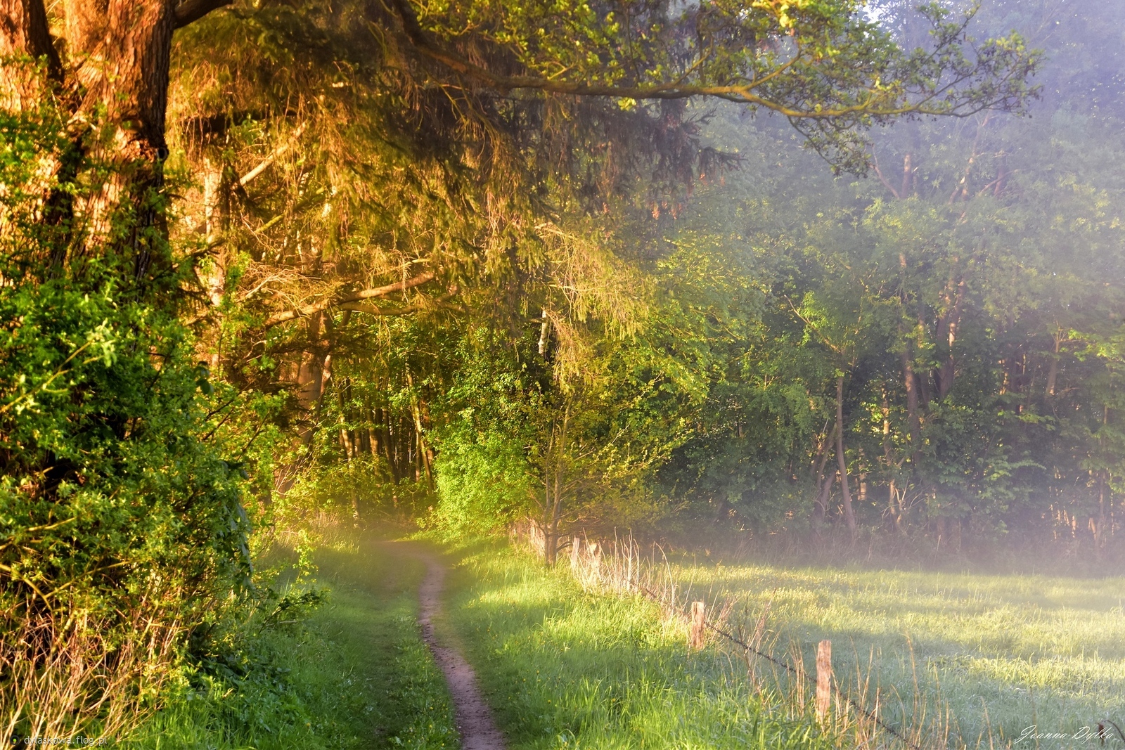Znajomą ścieżką (4)