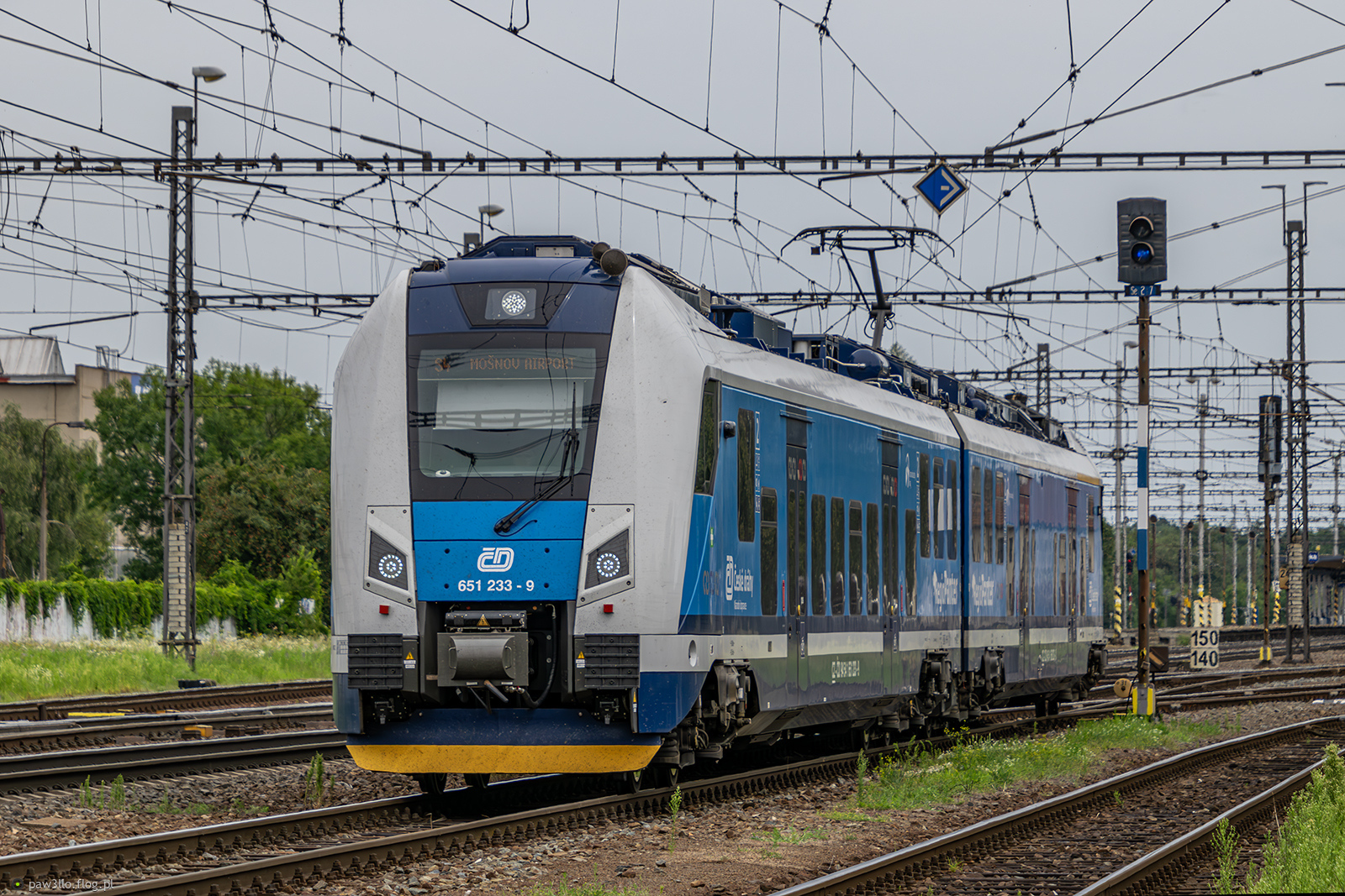 651 233-9