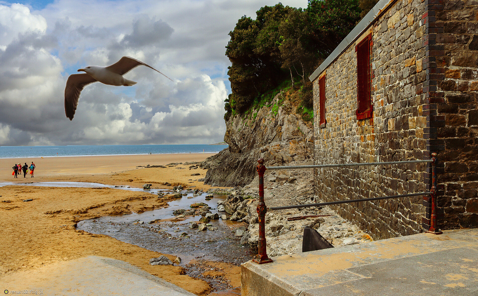 "A cza­sami na­wet pta­ki są zmęczo­ne lo­tem mi­mo je­go piękna... "