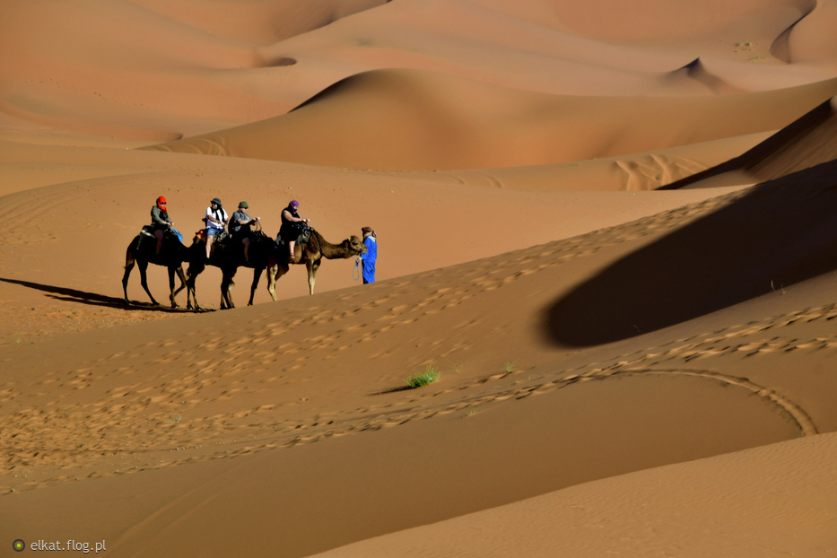 Sahara