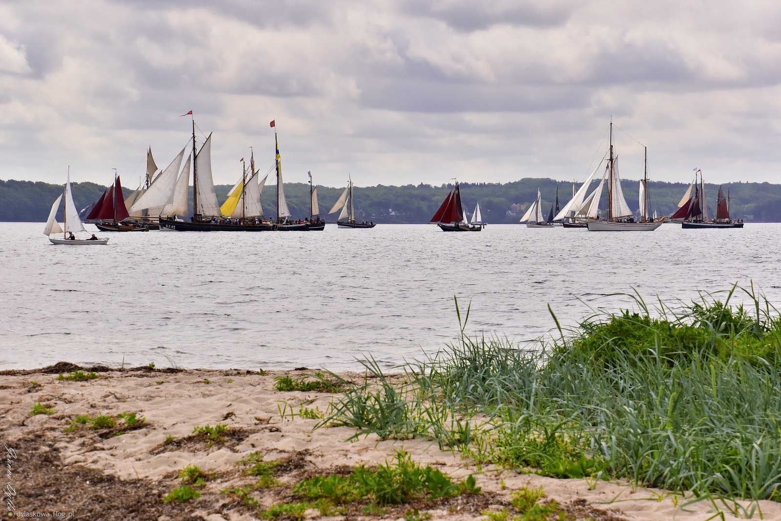 Rumregatta '2025