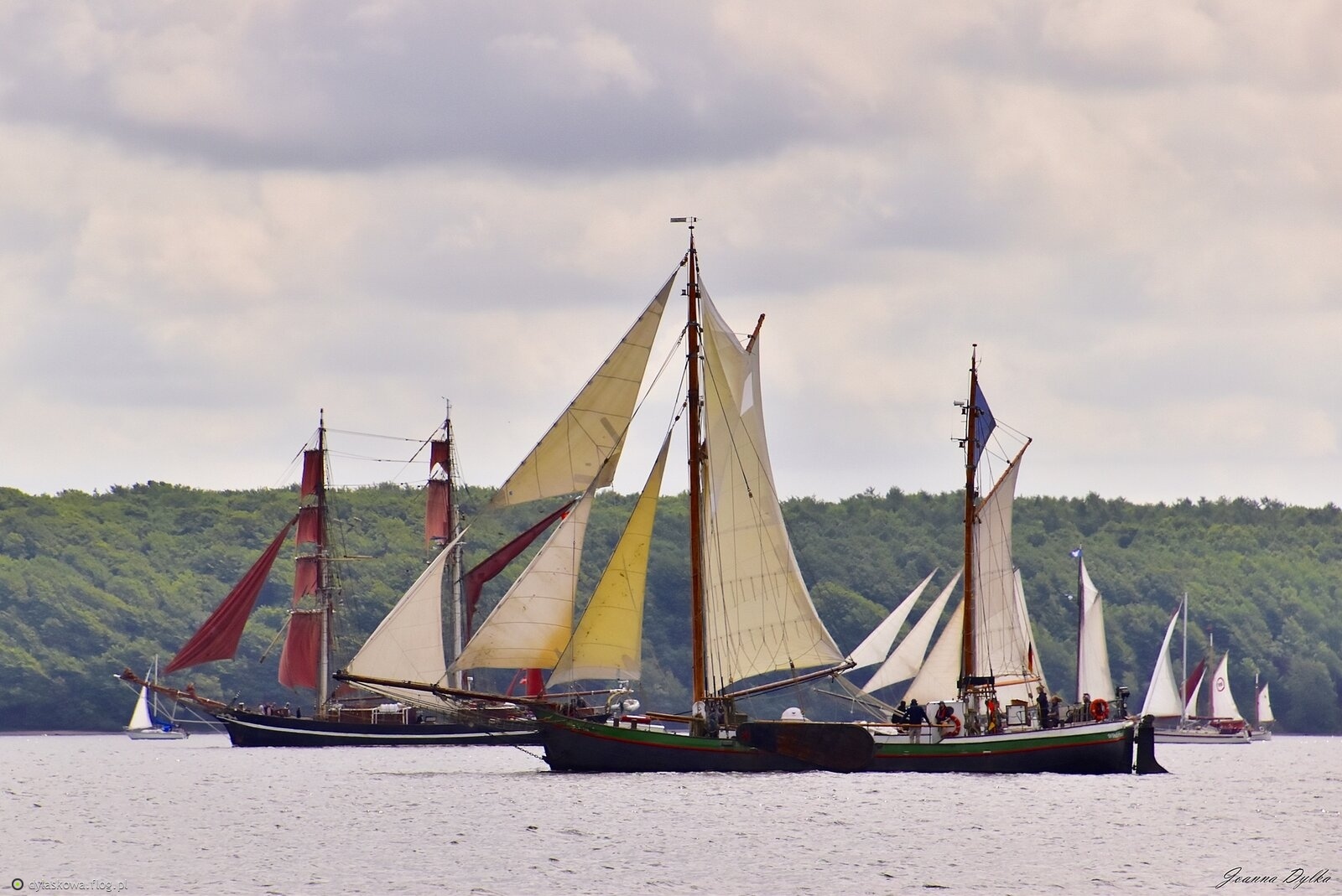 Rumregatta '2025 (2)