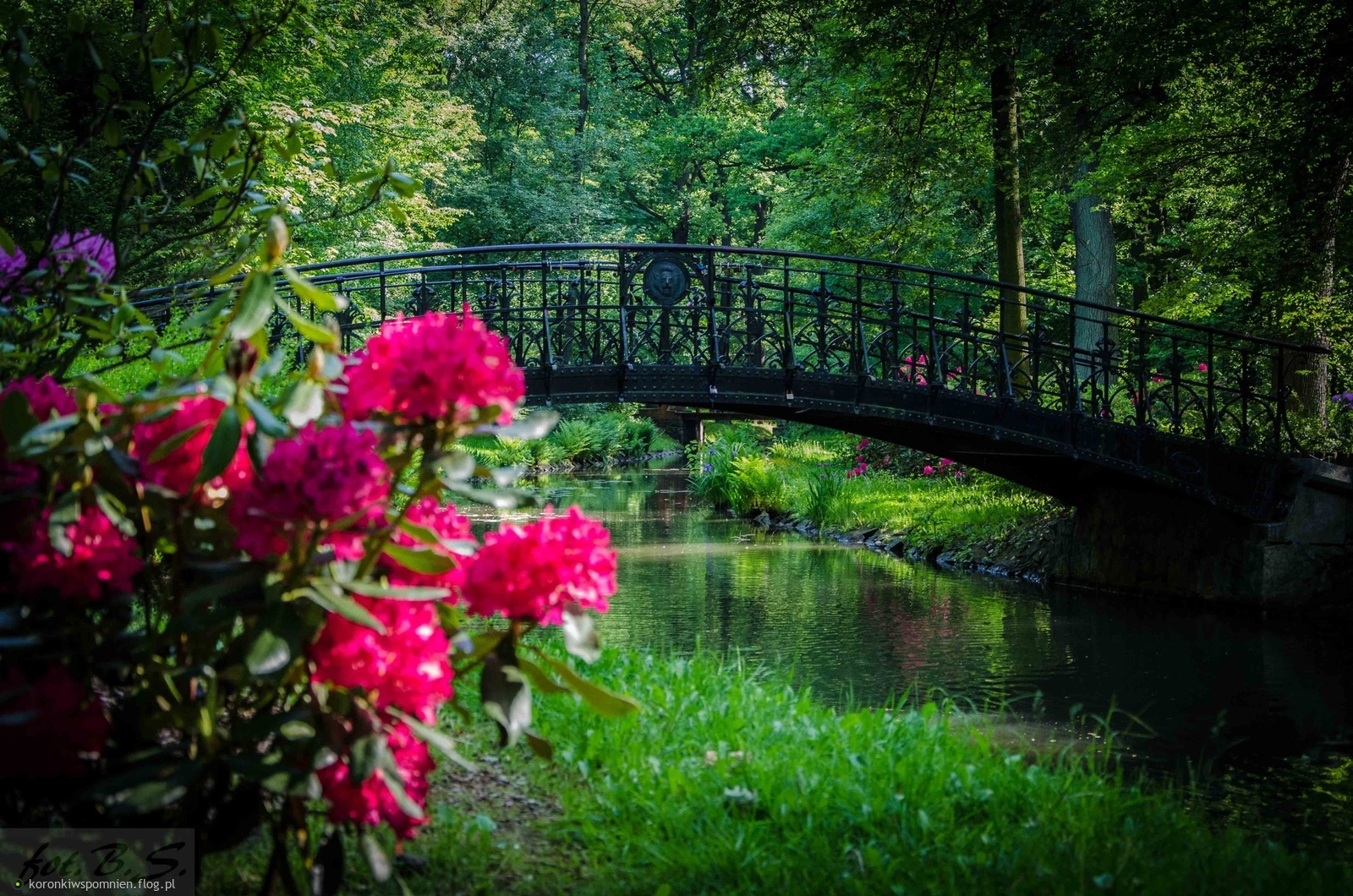 W podziękowaniu :) I jeszcze tylko przez mostek ...Spokojnych chwil na dziś Kochani:)