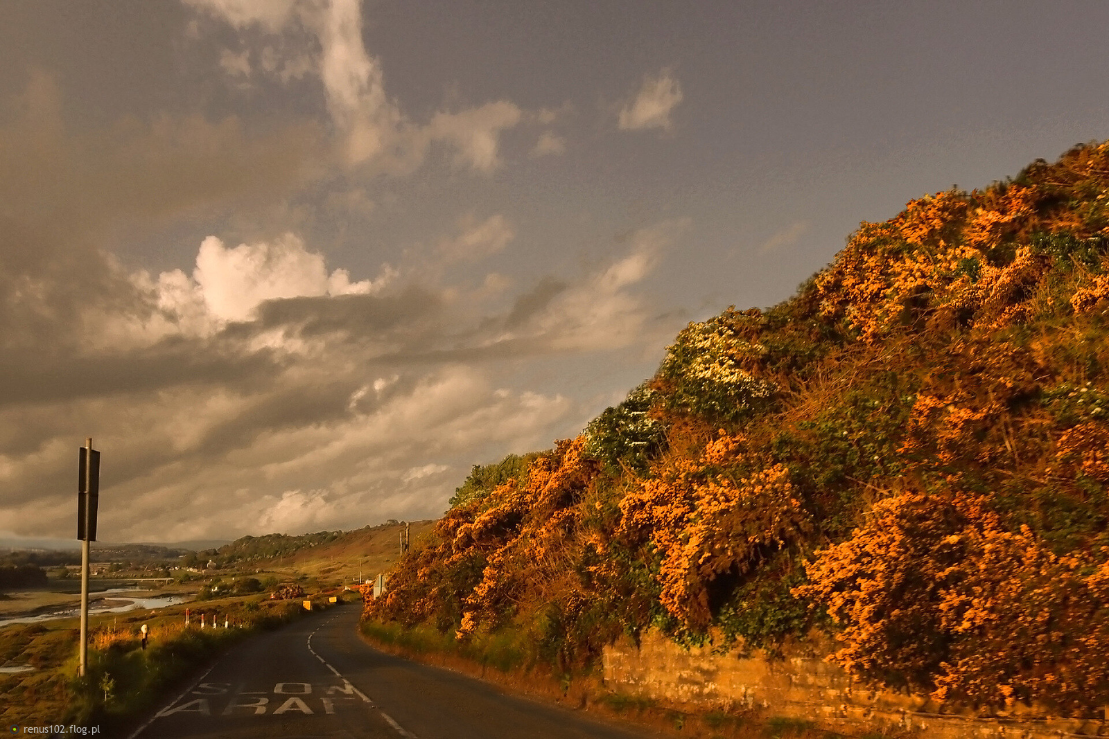A ja już tęsknię.....