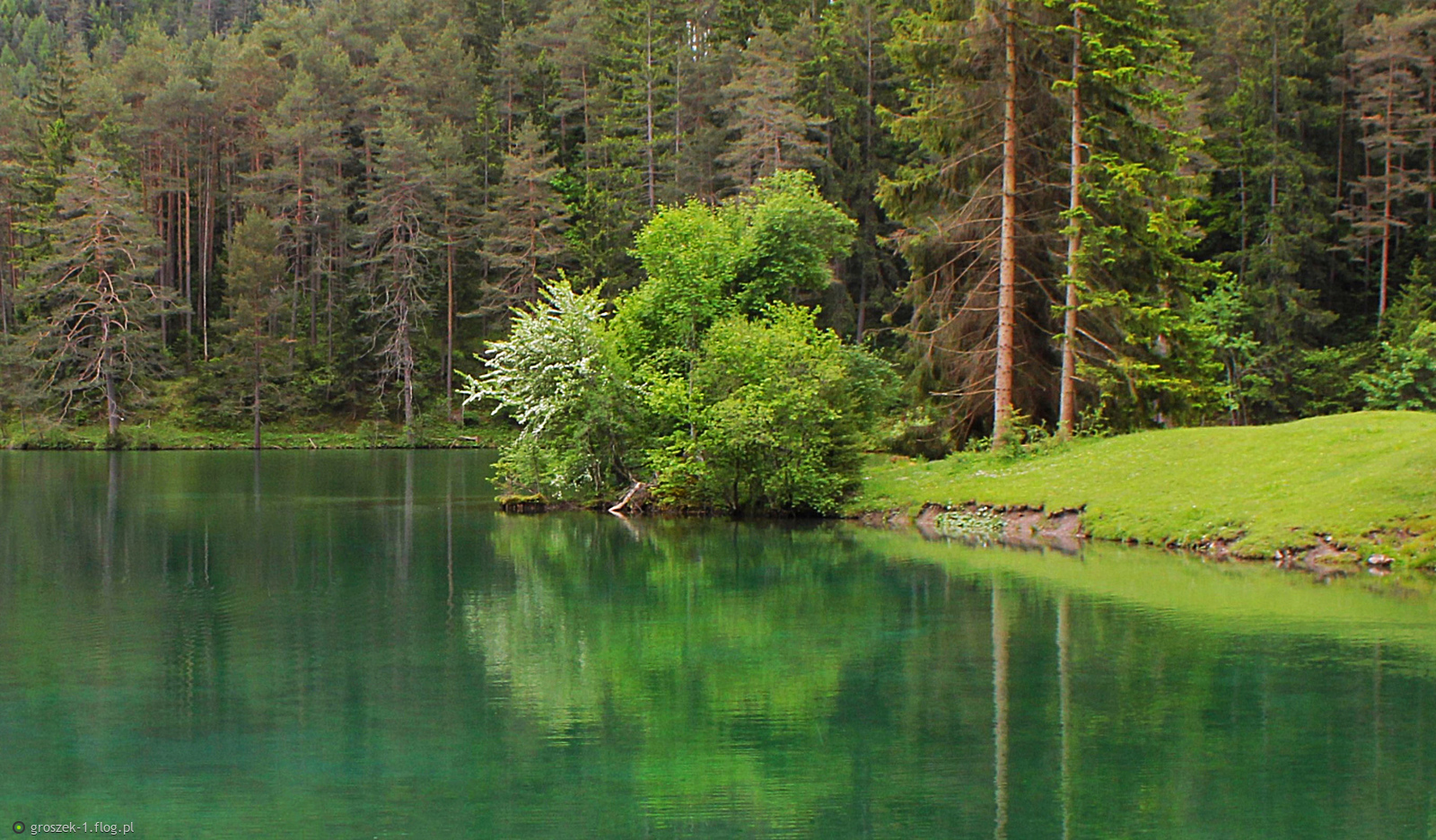 Jeżeli jestem sam w lesie, nie może mnie spotkać żadna podłość, nie mogę usłyszeć kłamstwa ani świstu bata.