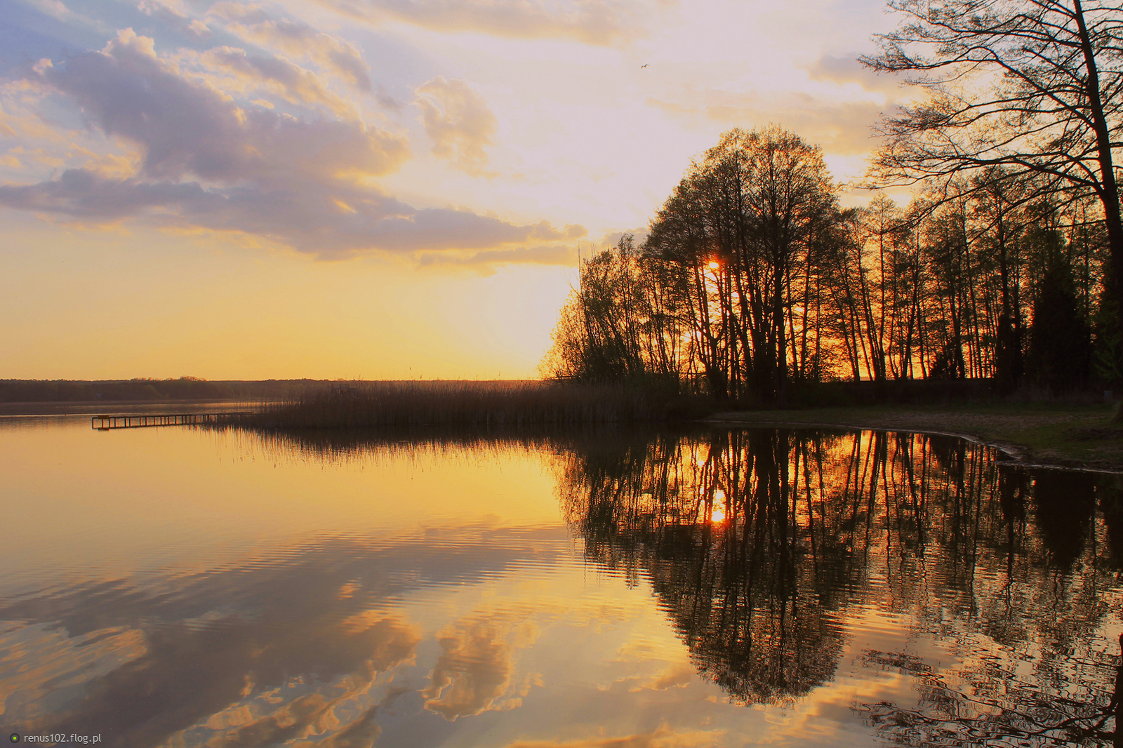 Wieczorową porą.....................:)