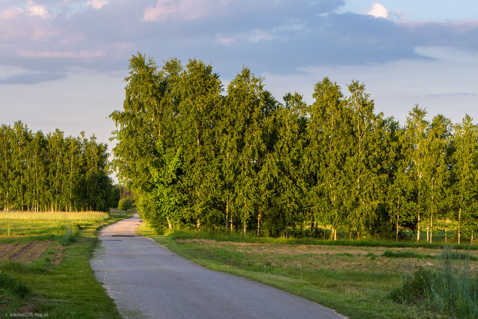 Kobyłczyce