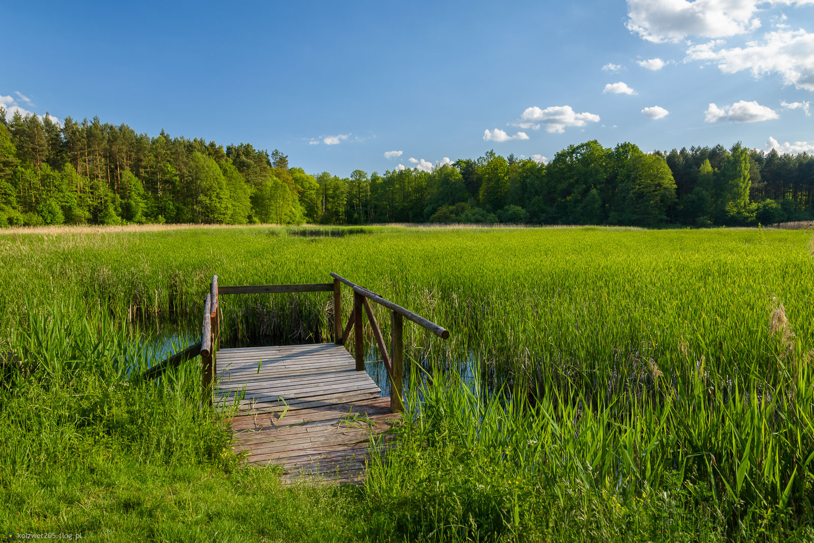 Park krajobrazowy "Stawki" (Przyrów)