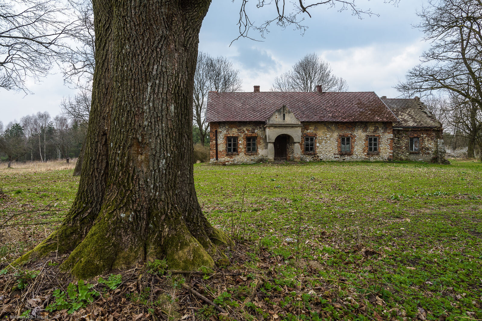 Pałac Krasińskich w Czepurce