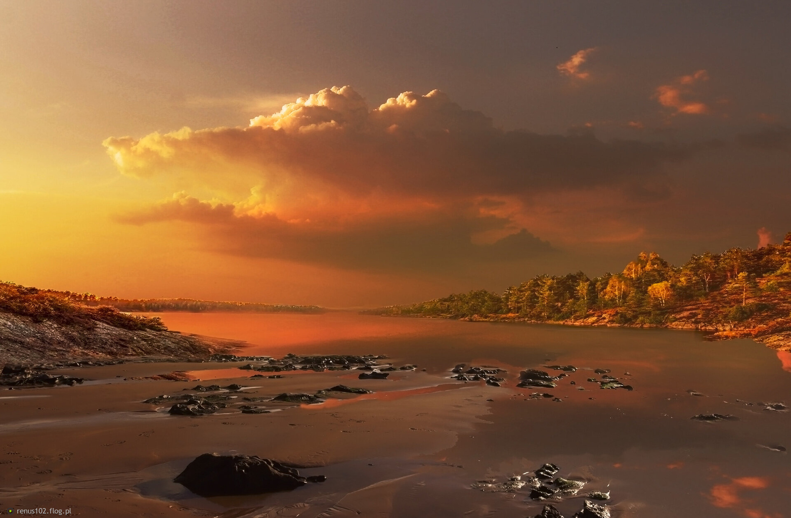 "Cisza to przys­tań, spokój, chwi­la w której wsłuchuję się w szept włas­nych myśli. ...."