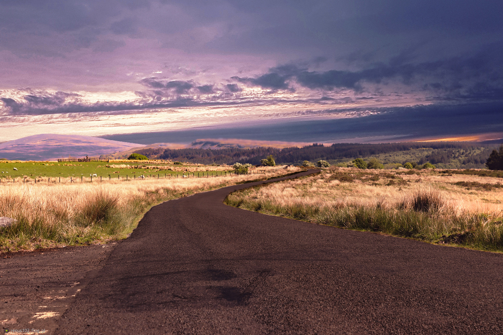 " Okazje są jak wschody słońca. jeżeli czeka się zbyt długo, można je przegapić"