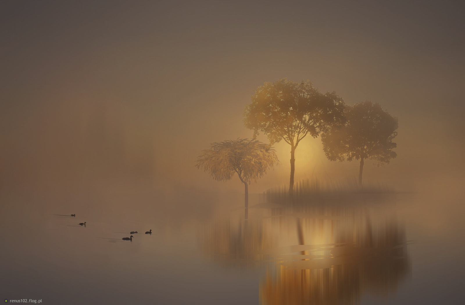 „Mgła sprawia, iż znajome wydaje się obce”.