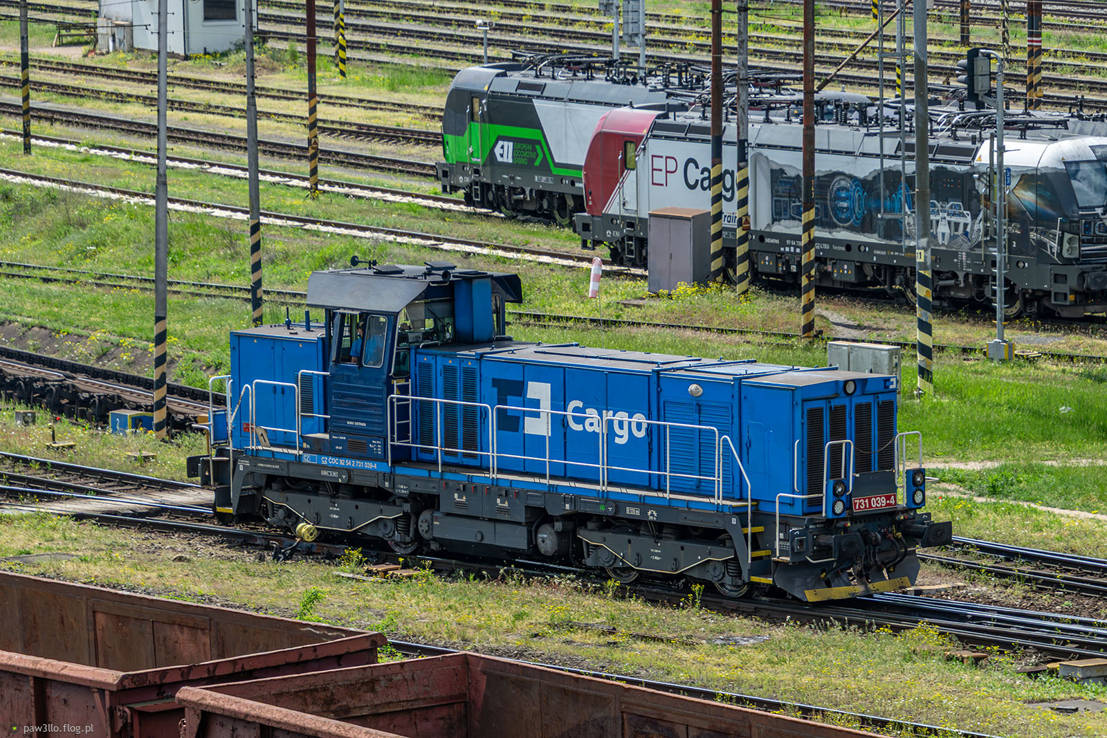 731 039-4