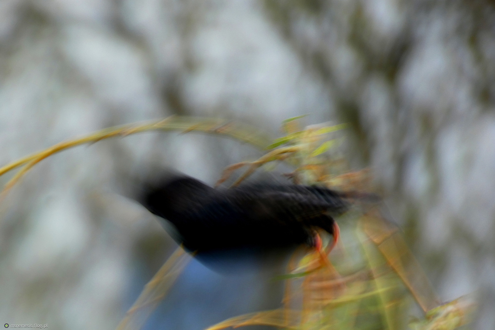 Abstrakcyjna Ucieczka :-)