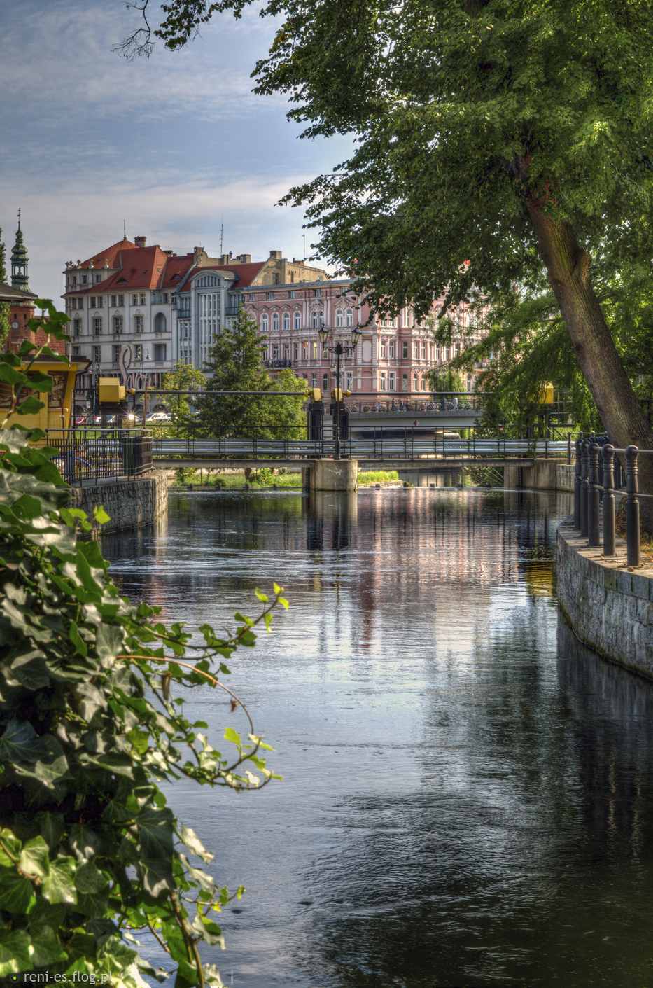 Wciąż nad Młynówką...