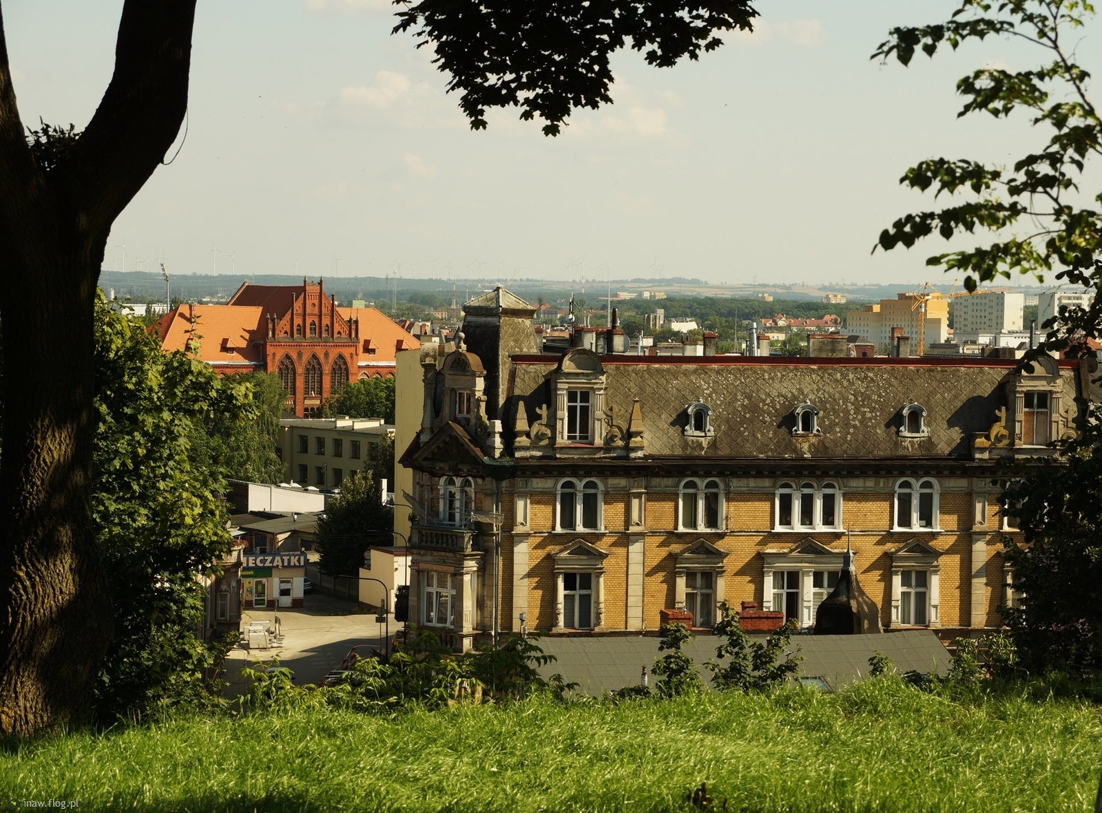 Grudziądz z Góry Zamkowej😊