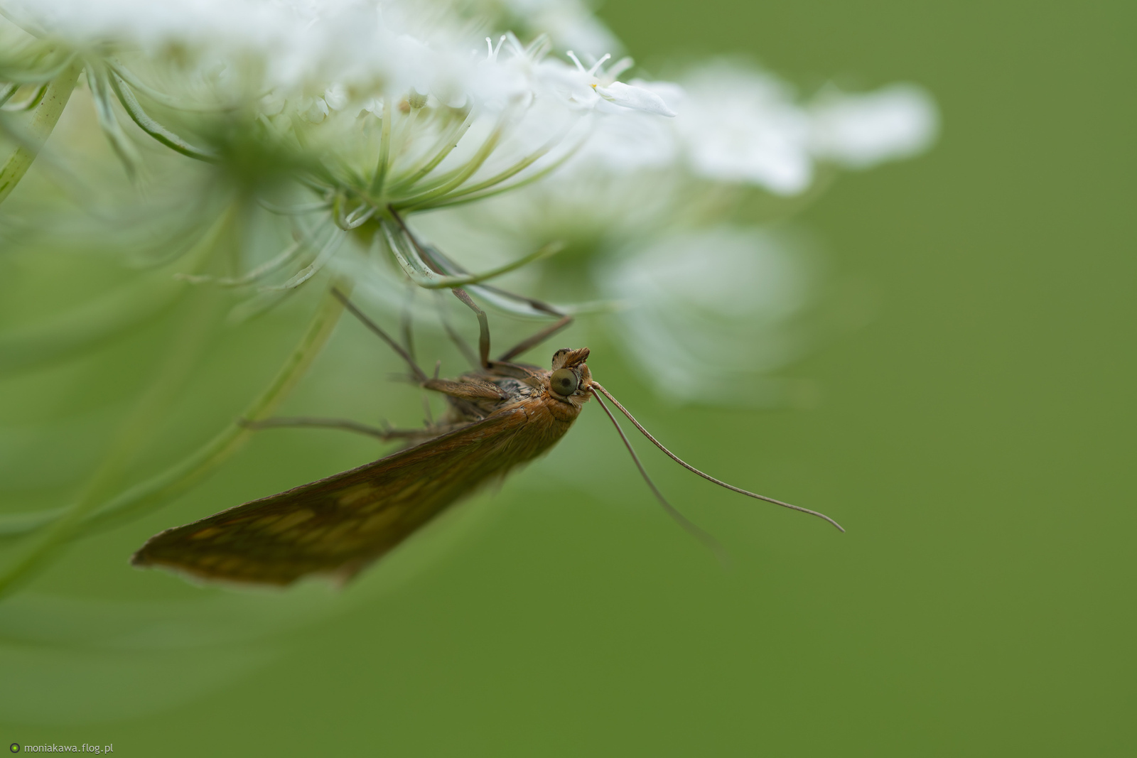 Nasi modele nie dają drugiej szansy... :)