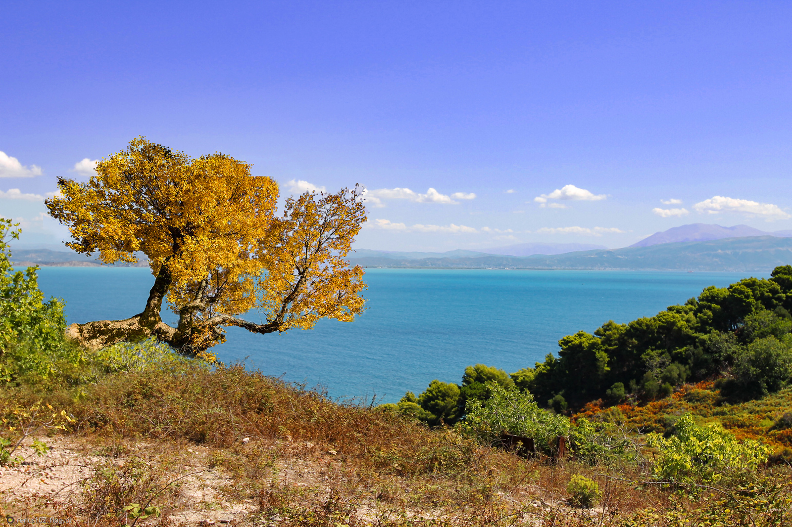 Wspomnienia....................:)