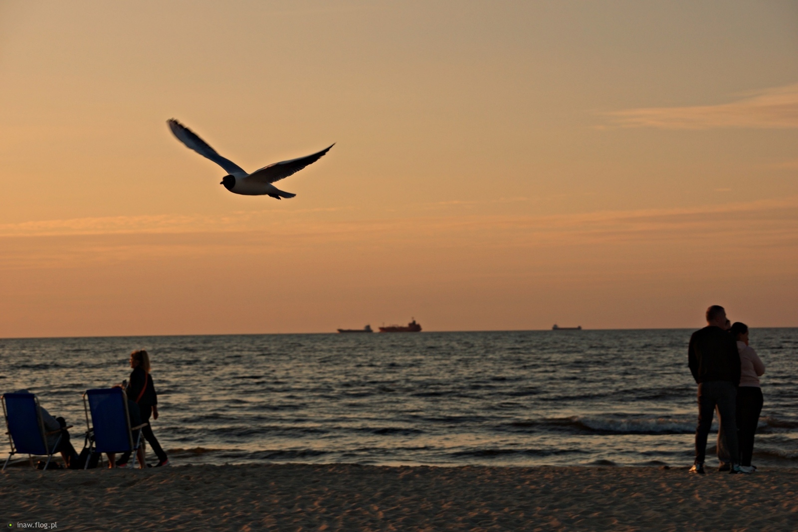 Czekając na zachód słońca🌞
