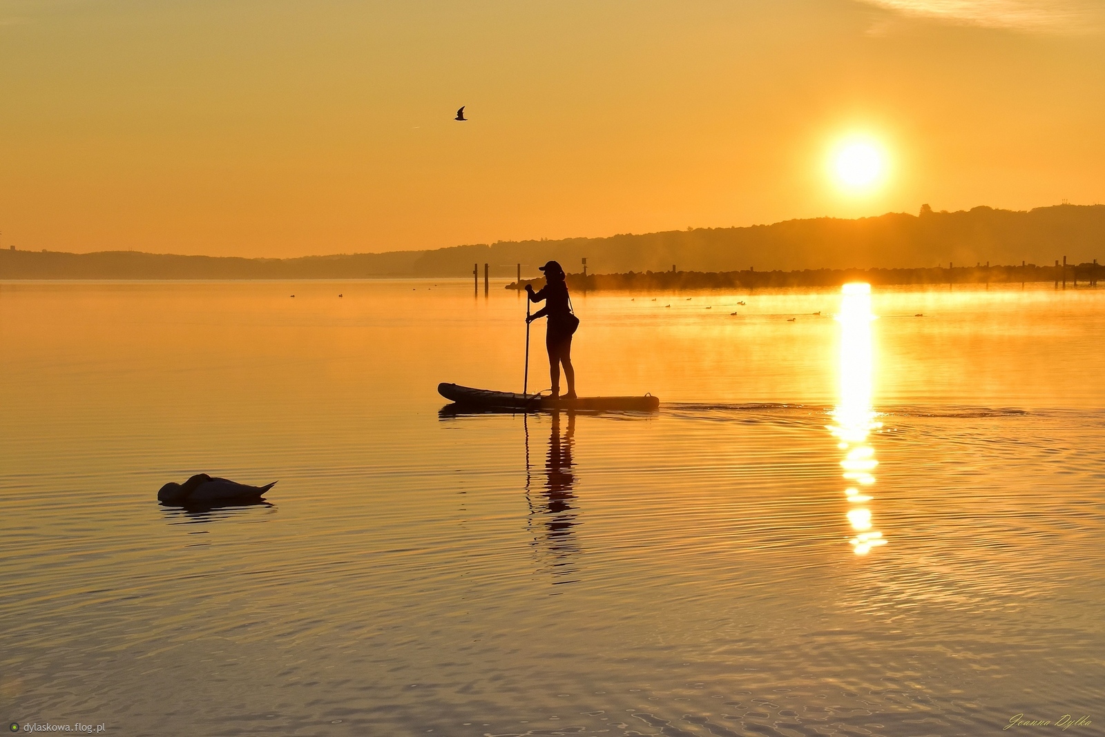 Pewnego jesiennego poranka