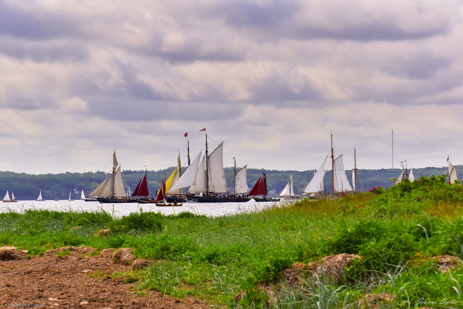 Rumregatta '2025 (4)