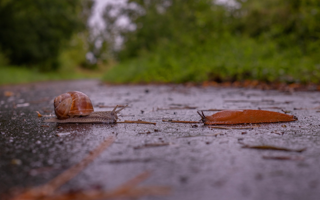 Spotkanie z bezdomnym