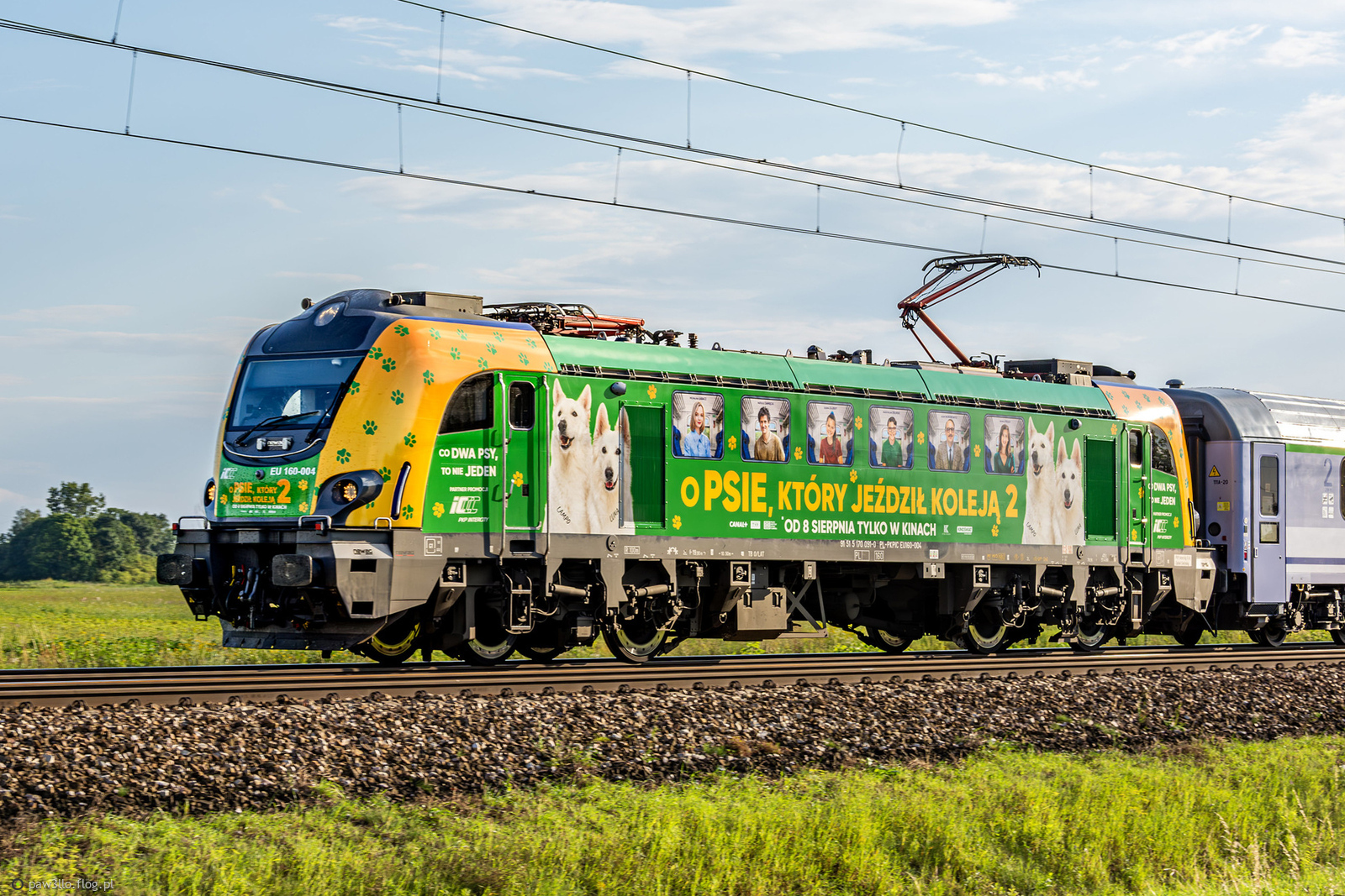 EU160-004 - Newag E4DCU Griffin - PKP Intercity