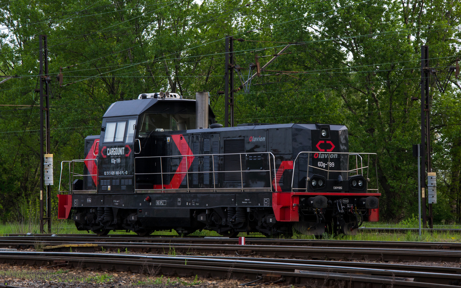 6Dg-199