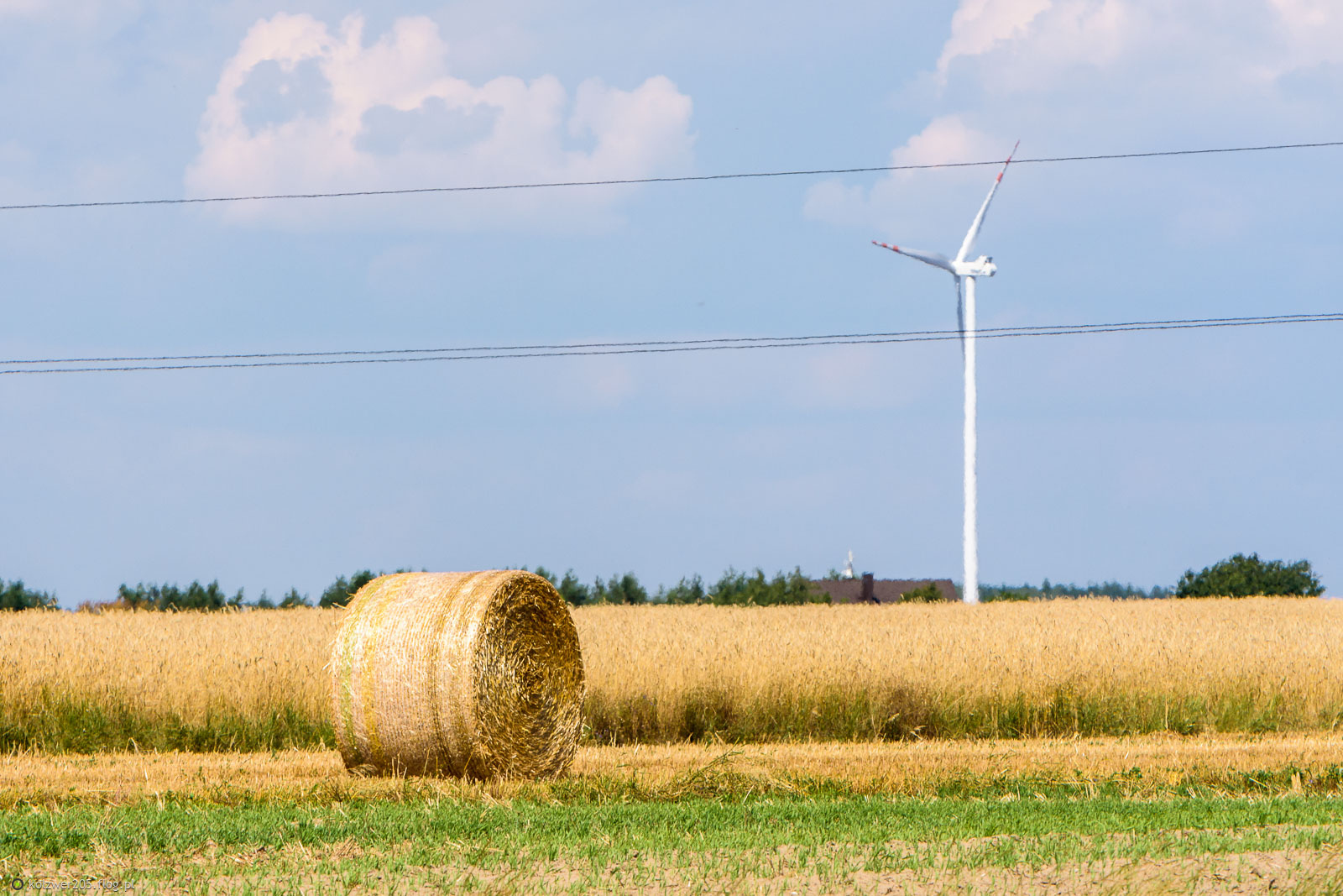 Typowy letni widok na polskiej wsi...