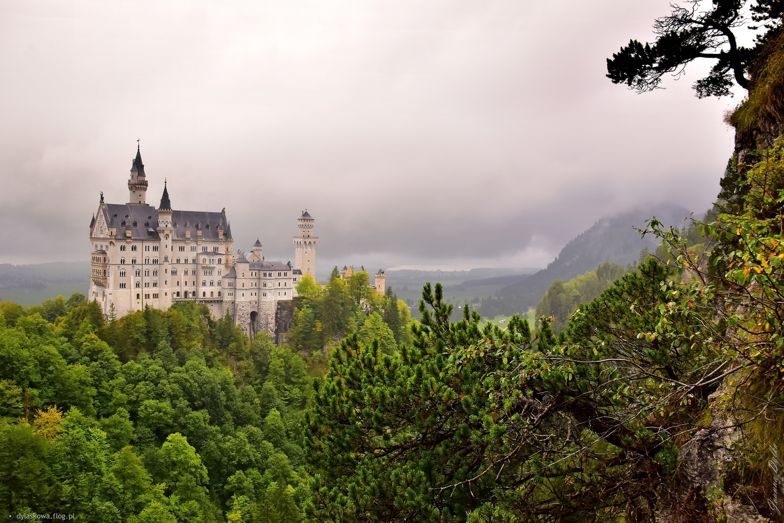 Zamek Neuschwanstein
