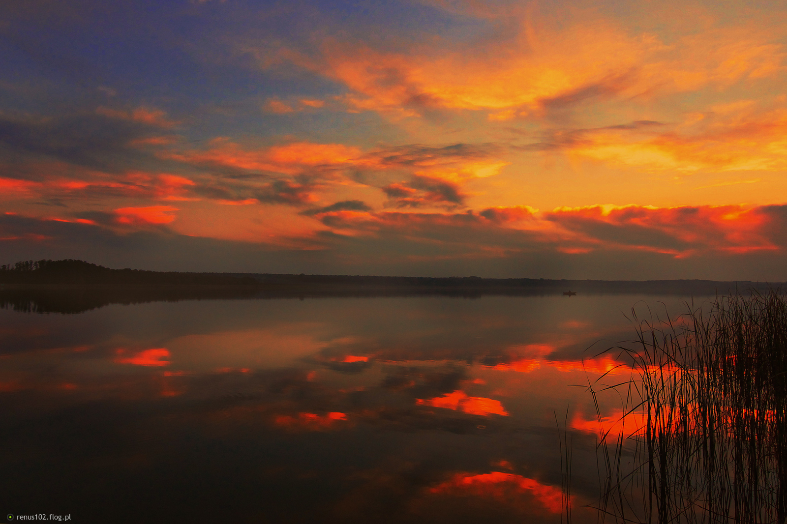 Wieczorową porą.....................:)