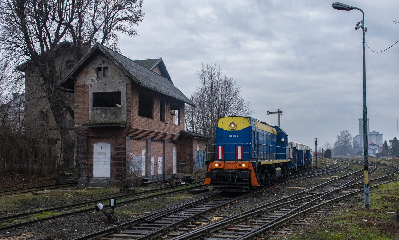 TEM2-234