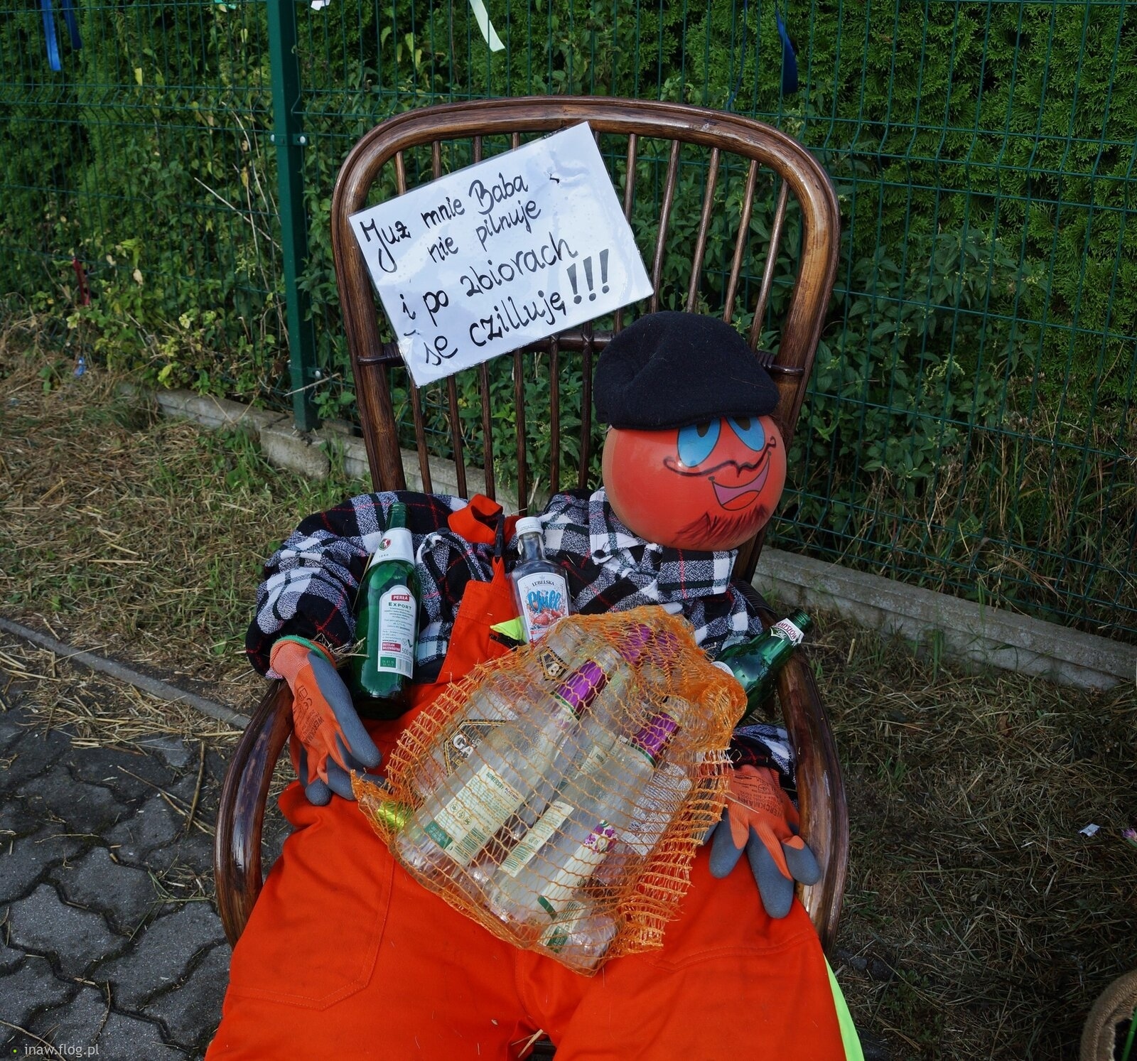 Po żniwach😊