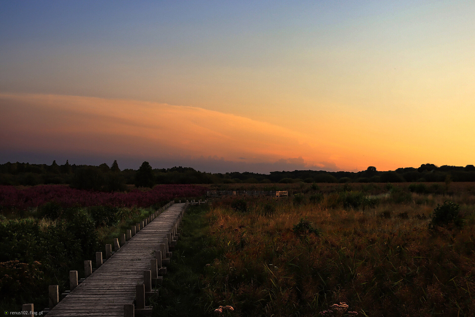 Miejscowość Granica na skraju puszczy Kampinoskiej.......