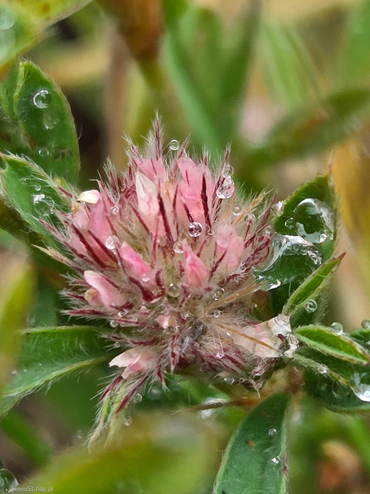 PODRÓŻUJEMY NIE PO TO BY UCIEC OD ŻYCIA ALE PO TO ABY ŻYCIE NIE UCIEKŁO NAM,