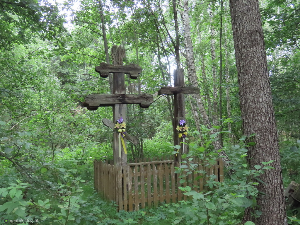 Leśne krzyże - Podlasie