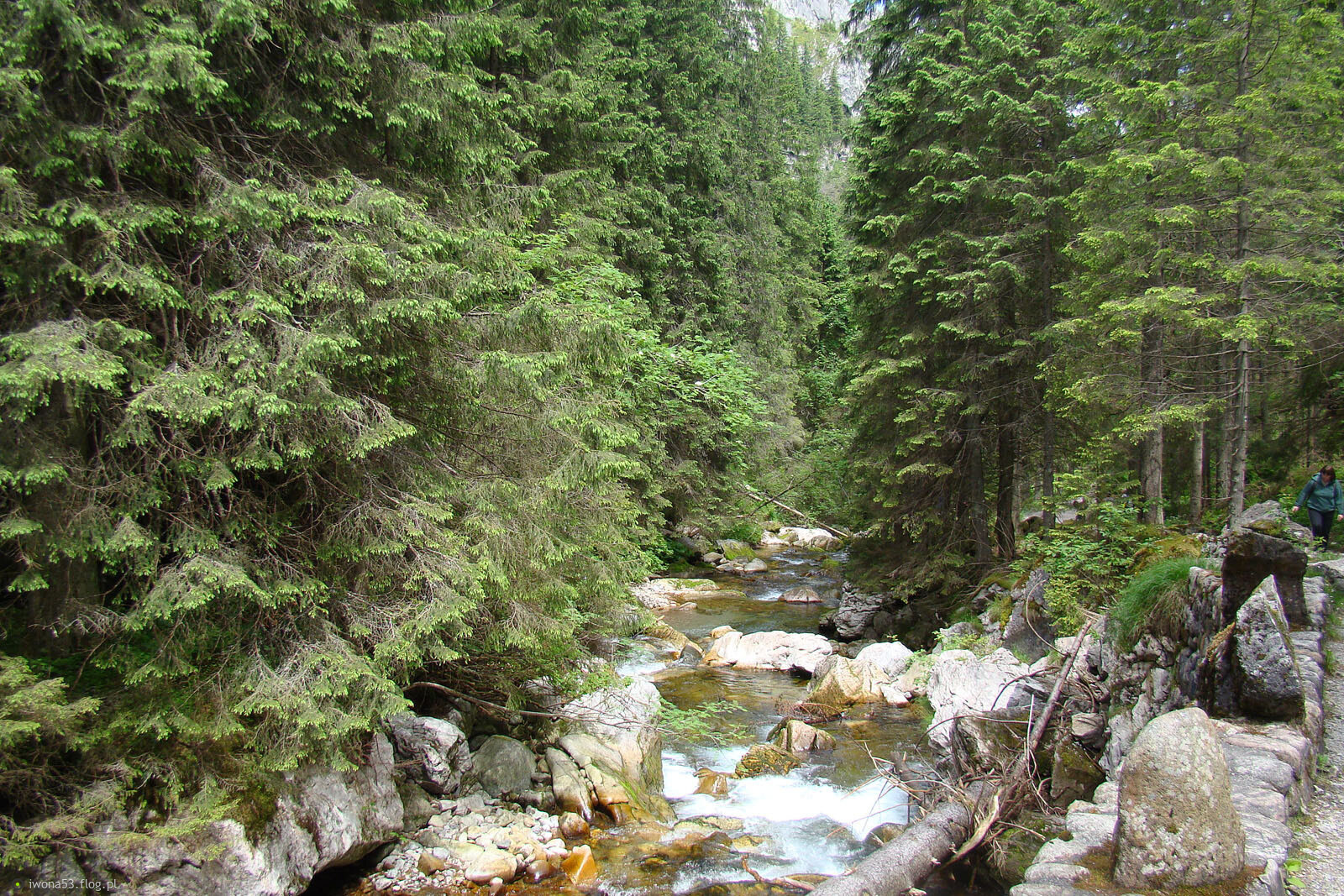 NIKT NIE ODGRYWA ROLI OFIARY LEPIEJ NIŻ TEN KTO WYRZĄDZIŁ SZKODĘ.